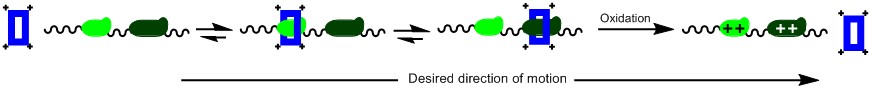 Rotaxane